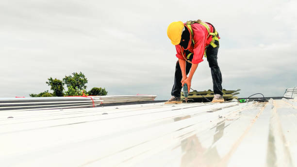 Best Roof Maintenance and Cleaning  in Timberlane, IL