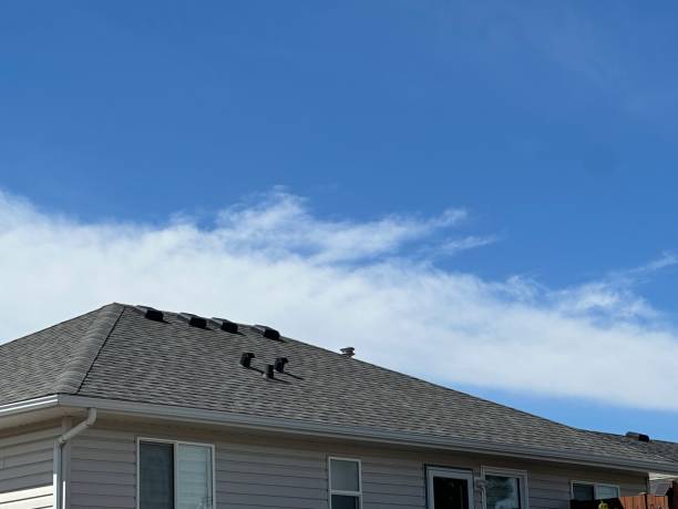 Roof Insulation in Timberlane, IL